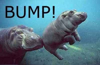 hippo bump1
